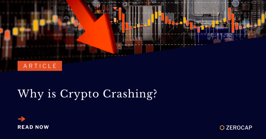 Why Is Crypto Crashing And The Future Of Cryptocurrency